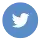 Nashville Website solution twitter icon